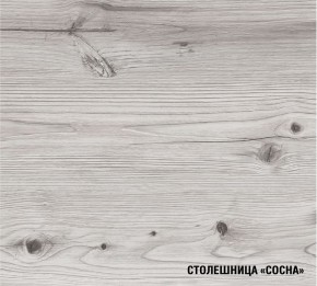 АСАЯ Кухонный гарнитур Экстра 2 (3000 мм) ПМ в Первоуральске - pervouralsk.mebel-74.com | фото