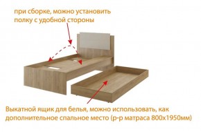 Дуглас (подростковая) М14 Кровать в Первоуральске - pervouralsk.mebel-74.com | фото