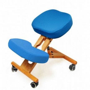 Коленный стул Smartstool KW02 + Чехлы в Первоуральске - pervouralsk.mebel-74.com | фото