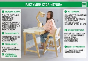 Комплект растущий стол и стул 38 попугаев «Вуди» (Серый, Без покрытия) в Первоуральске - pervouralsk.mebel-74.com | фото