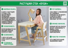 Комплект растущий стол и стул с чехлом 38 попугаев «Вуди» (Белый, Белый, Салют) в Первоуральске - pervouralsk.mebel-74.com | фото