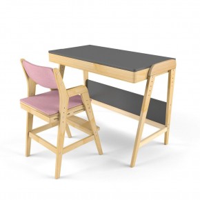 Комплект растущий стол и стул с чехлом 38 попугаев «Вуди» (Серый, Береза, Розовый) в Первоуральске - pervouralsk.mebel-74.com | фото