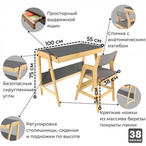Комплект растущий стол и стул с чехлом 38 попугаев «Вуди» (Серый, Береза, Серый) в Первоуральске - pervouralsk.mebel-74.com | фото