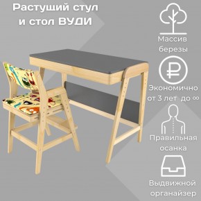 Комплект растущий стол и стул с чехлом 38 попугаев «Вуди» (Серый, Без покрытия, Монстры) в Первоуральске - pervouralsk.mebel-74.com | фото
