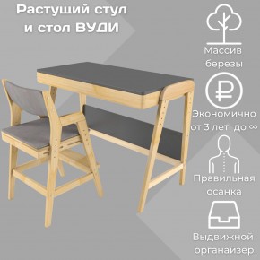 Комплект растущий стол и стул с чехлом 38 попугаев «Вуди» (Серый, Без покрытия, Серый) в Первоуральске - pervouralsk.mebel-74.com | фото