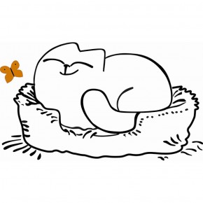 Кровать двухуровневая Кот № 900.1 ЛЕВАЯ (туя светлая/белый) в Первоуральске - pervouralsk.mebel-74.com | фото