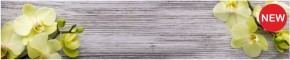 Кухонный фартук КМ 09 Композит глянец (3000) в Первоуральске - pervouralsk.mebel-74.com | фото