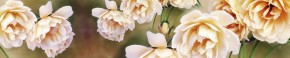 Кухонный фартук Цветы 066 МДФ матовый (3000) Flowers в Первоуральске - pervouralsk.mebel-74.com | фото