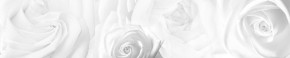 Кухонный фартук Цветы 217 МДФ матовый (3000) Flowers в Первоуральске - pervouralsk.mebel-74.com | фото