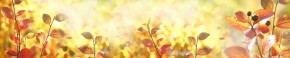 Кухонный фартук Цветы 318 МДФ матовый (3000) Flowers в Первоуральске - pervouralsk.mebel-74.com | фото