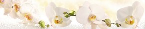 Кухонный фартук Цветы 328 МДФ матовый (3000) Flowers в Первоуральске - pervouralsk.mebel-74.com | фото
