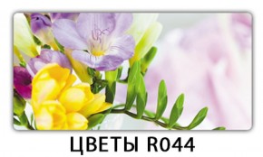 Обеденный раздвижной стол Бриз с фотопечатью Цветы R044 в Первоуральске - pervouralsk.mebel-74.com | фото