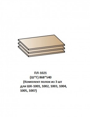 ПЛ-1021 (Комплект полок из 3 шт для ШК-1001, 1002, 1003, 1004, 1005, 1007) в Первоуральске - pervouralsk.mebel-74.com | фото