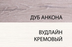 Шкаф 1DG, OLIVIA, цвет вудлайн крем/дуб анкона в Первоуральске - pervouralsk.mebel-74.com | фото