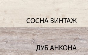 Шкаф 2D1S, MONAKO, цвет Сосна винтаж/дуб анкона в Первоуральске - pervouralsk.mebel-74.com | фото