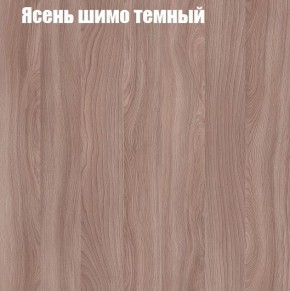 Шкаф-купе «ТАНДЕМ» 2-х дверный в алюминиевом профиле (Дверь К+К) 1200/h2200 в Первоуральске - pervouralsk.mebel-74.com | фото