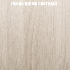 Шкаф-купе «ТАНДЕМ» 2-х дверный в алюминиевом профиле (Дверь ЛДСП+ЛДСП) 1200/h2200 в Первоуральске - pervouralsk.mebel-74.com | фото