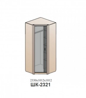 Шкаф ШЕР Дуб серый/айронвуд серебро (ШК-2321) в Первоуральске - pervouralsk.mebel-74.com | фото