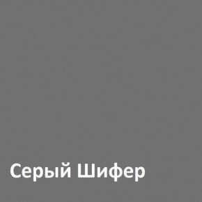 Юнона Шкаф торцевой 13.221 в Первоуральске - pervouralsk.mebel-74.com | фото